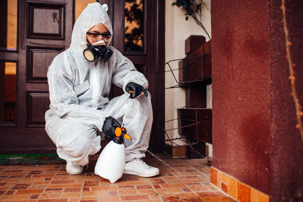 Reliable Ant Control contractor in Fort Smith, AR by Nex Pest Control